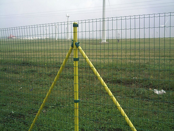 養(yǎng)殖荷蘭網(wǎng)